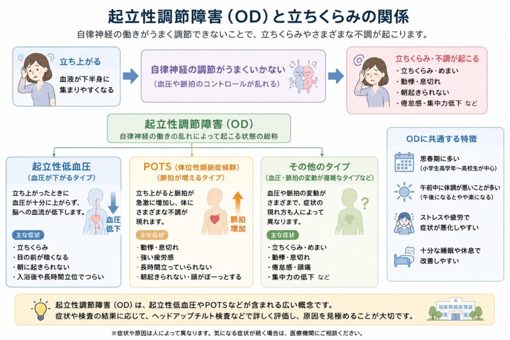 立ちくらみの原因を解説した図。起立性調節障害（OD）、起立性低血圧、POTS（体位性頻脈症候群）、神経調節性失神、不整脈、脳梗塞・TIA、貧血・脱水など、立ちくらみを引き起こす主な原因と特徴をまとめた図解。