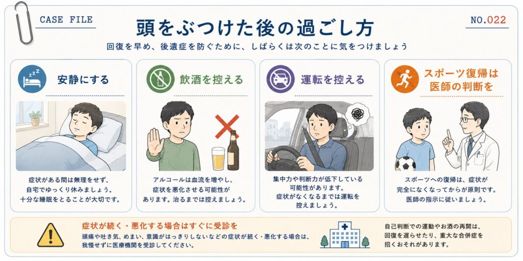 頭をぶつけた後の過ごし方をまとめた図解。安静にする、飲酒を控える、運転を控える、スポーツ復帰は医師の判断に従うなど、頭部外傷後の日常生活で注意したいポイントを解説。