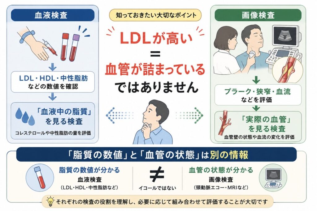 LDLコレステロールが高いことと血管の詰まりは同じではなく、血液検査は脂質、頸動脈エコーなどの画像検査は血管の状態を評価することを示した図