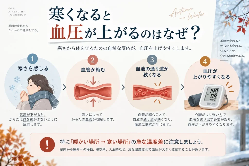 寒くなると血管が縮み、血液の通り道が狭くなって血圧が上がりやすくなる仕組みを示した図解